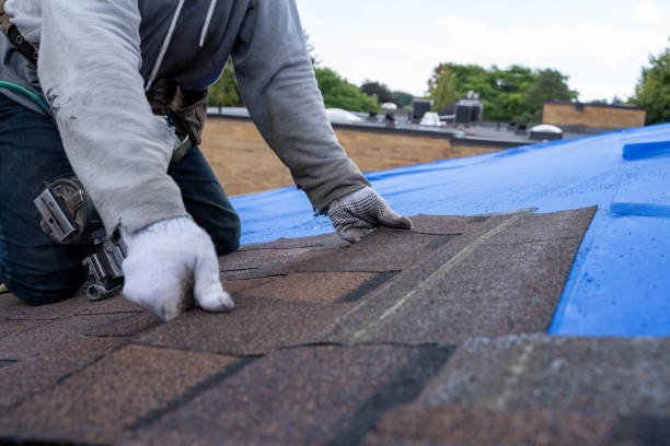 Best Roof Waterproofing Services  in Burns Harbor, IN