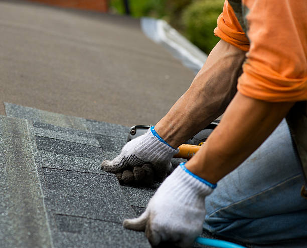 Best Storm Damage Roof Repair  in Burns Harbor, IN